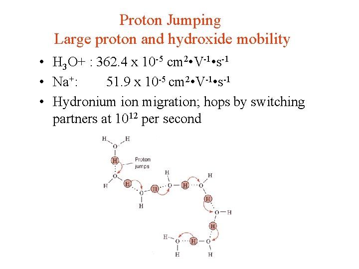 Proton Jumping Large proton and hydroxide mobility • H 3 O+ : 362. 4