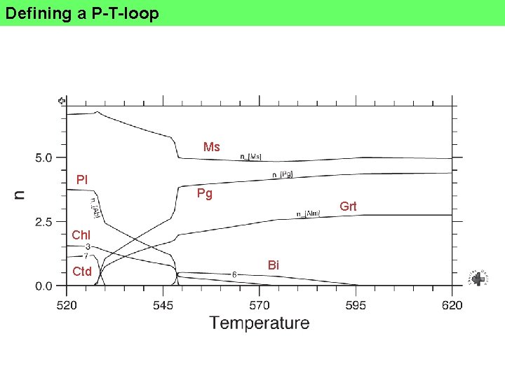 Defining a P-T-loop Ms Pl Pg Grt Chl Ctd Bi 