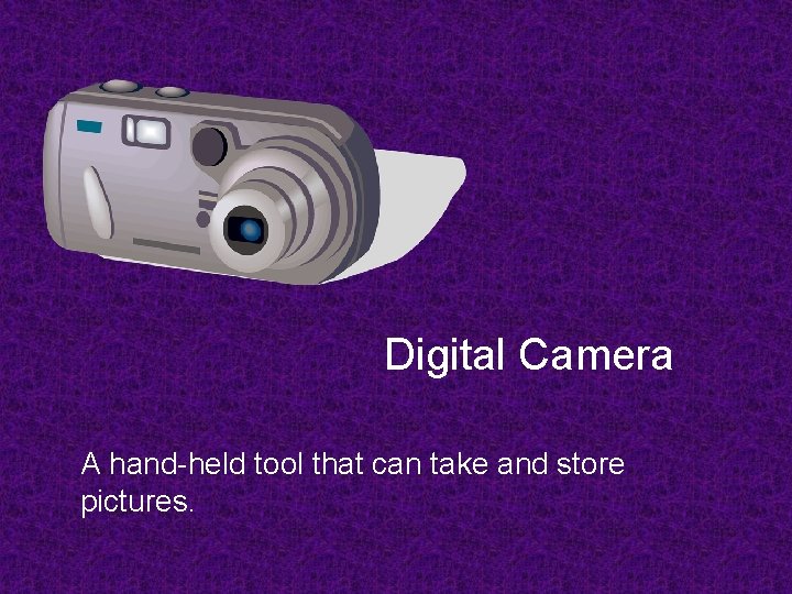 Digital Camera A hand-held tool that can take and store pictures. 