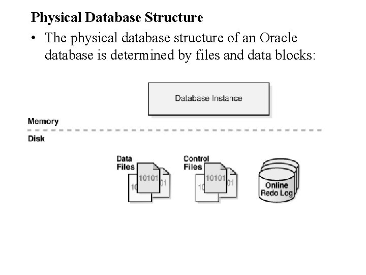 Physical Database Structure • The physical database structure of an Oracle database is determined Physical Database Structure • The physical database structure of an Oracle database is determined