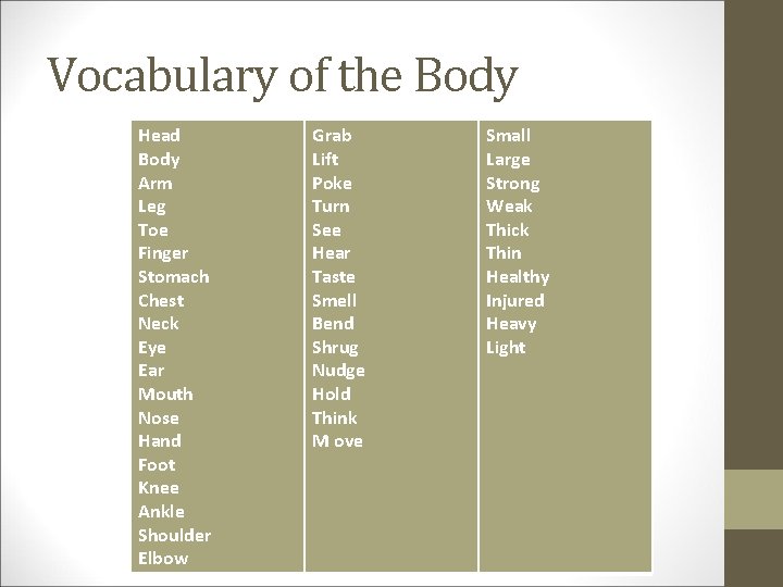 Vocabulary of the Body Head Body Arm Leg Toe Finger Stomach Chest Neck Eye