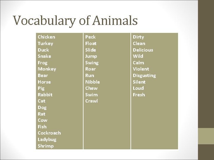 Vocabulary of Animals Chicken Turkey Duck Snake Frog Monkey Bear Horse Pig Rabbit Cat