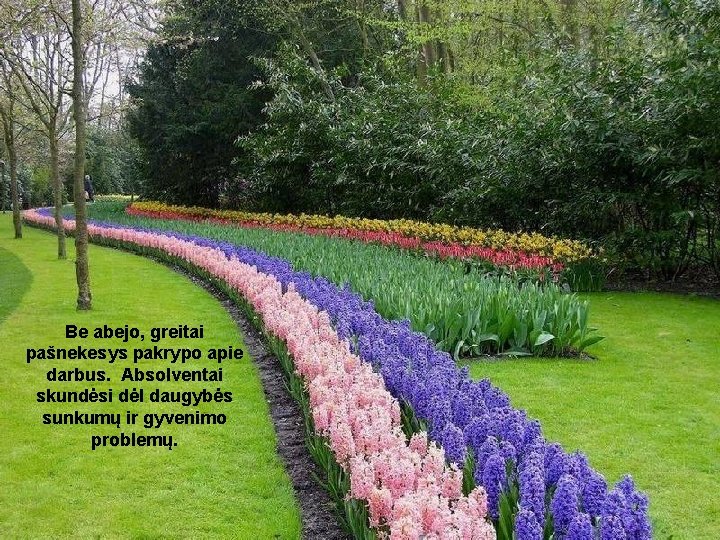 Be abejo, greitai pašnekesys pakrypo apie darbus. Absolventai skundėsi dėl daugybės sunkumų ir gyvenimo