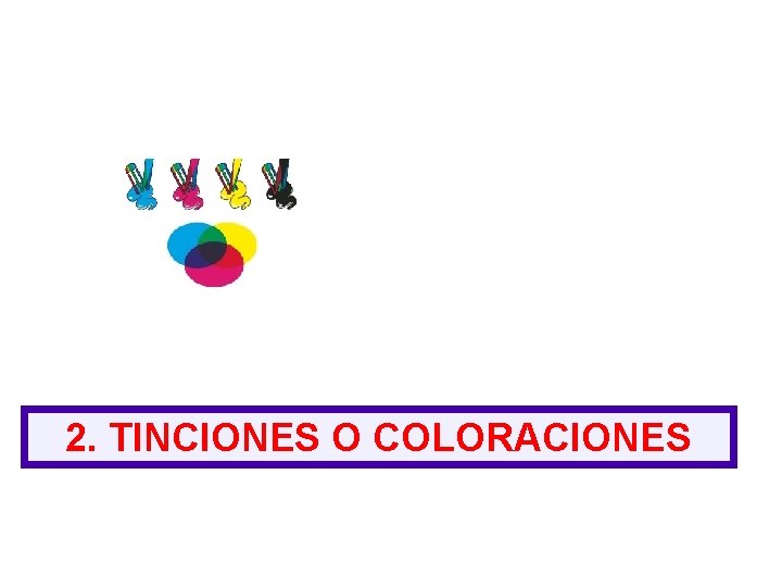 2. TINCIONES O COLORACIONES 