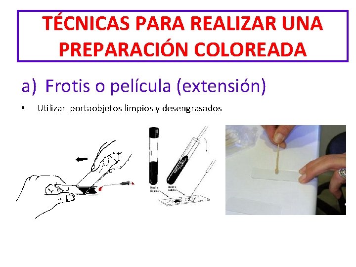 TÉCNICAS PARA REALIZAR UNA PREPARACIÓN COLOREADA a) Frotis o película (extensión) • Utilizar portaobjetos