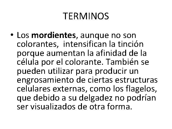 TERMINOS • Los mordientes, aunque no son colorantes, intensifican la tinción porque aumentan la