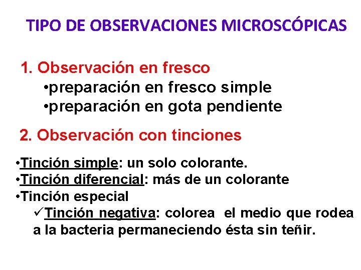 Lunes TIPO DE OBSERVACIONES MICROSCÓPICAS 1. Observación en fresco • preparación en fresco simple