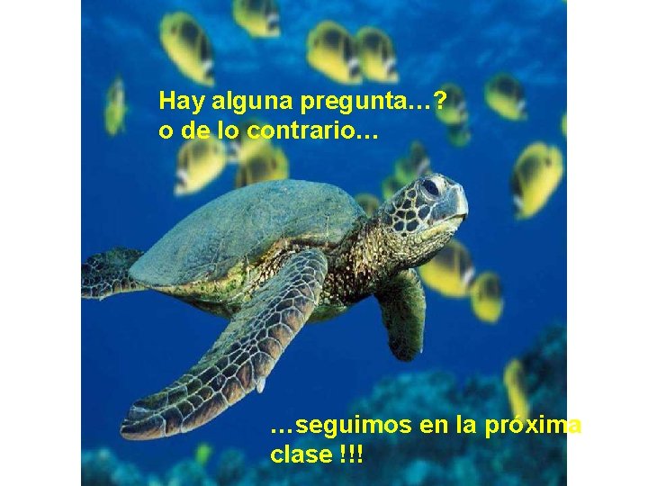 Hay alguna pregunta…? o de lo contrario… …seguimos en la próxima clase !!! 