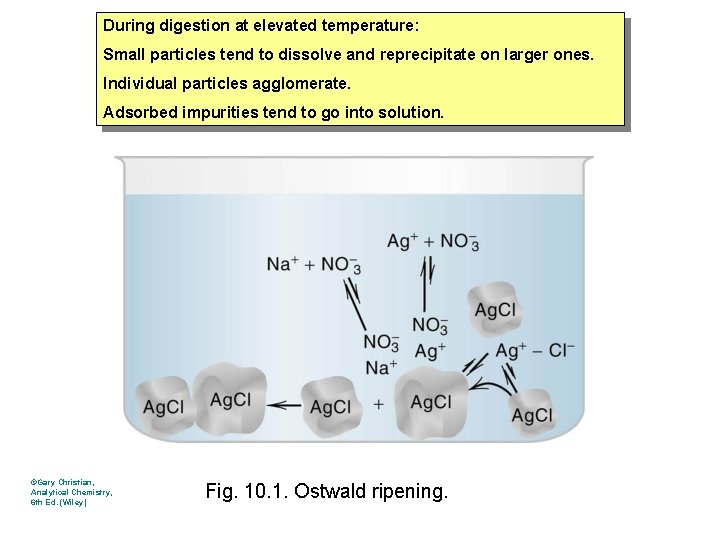 During digestion at elevated temperature: Small particles tend to dissolve and reprecipitate on larger