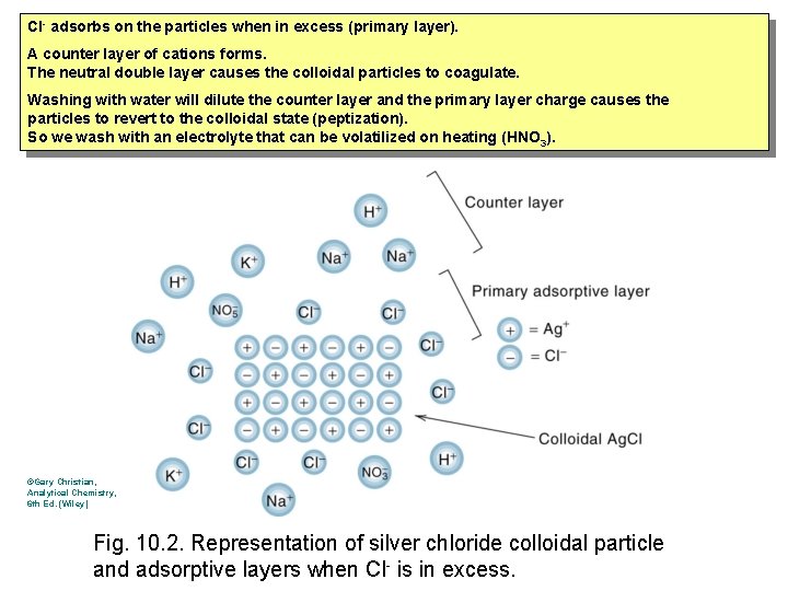 Cl- adsorbs on the particles when in excess (primary layer). A counter layer of