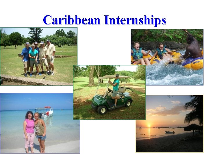 Caribbean Internships 