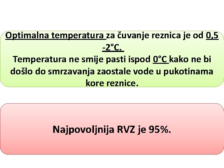 Optimalna temperatura za čuvanje reznica je od 0, 5 -2°C. Temperatura ne smije pasti