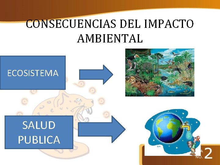 CONSECUENCIAS DEL IMPACTO AMBIENTAL ECOSISTEMA SALUD PUBLICA 