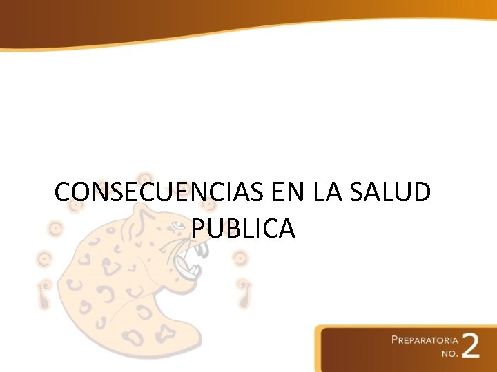 CONSECUENCIAS EN LA SALUD PUBLICA 