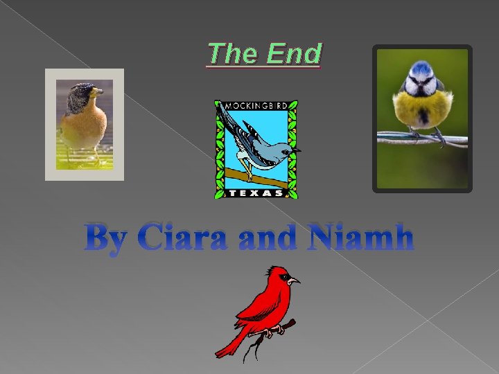 The End By Ciara and Niamh 