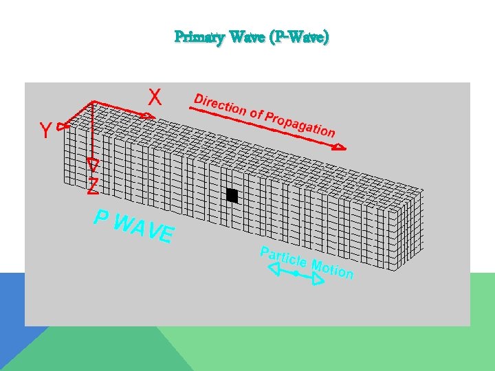 Primary Wave (P-Wave) 