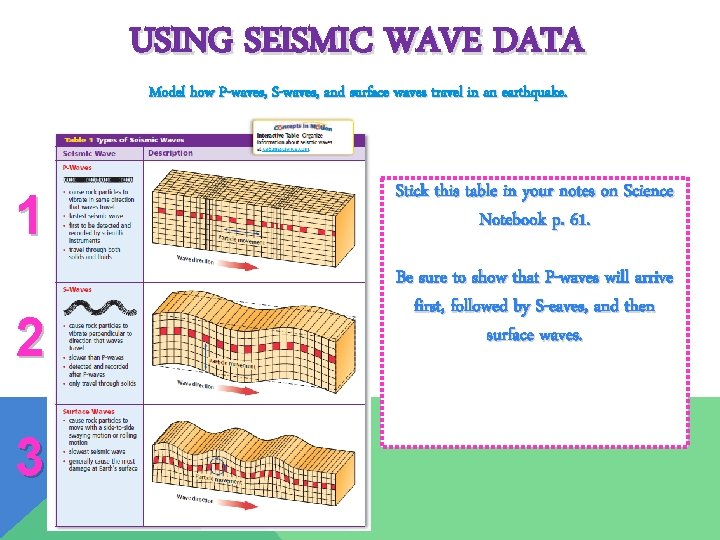 USING SEISMIC WAVE DATA Model how P-waves, S-waves, and surface waves travel in an