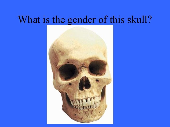 What is the gender of this skull? 