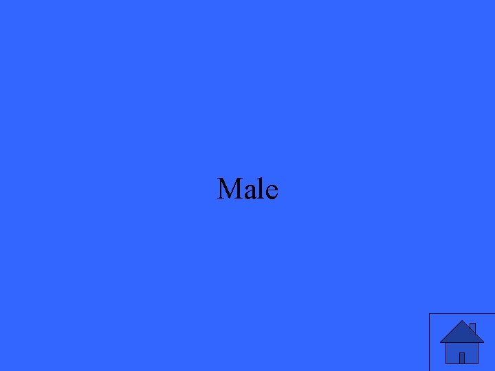 Male 