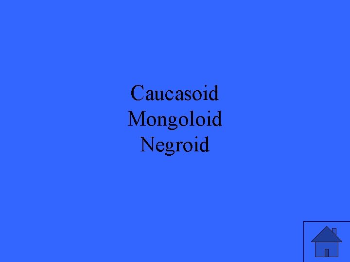 Caucasoid Mongoloid Negroid 
