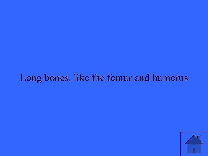 Long bones, like the femur and humerus 