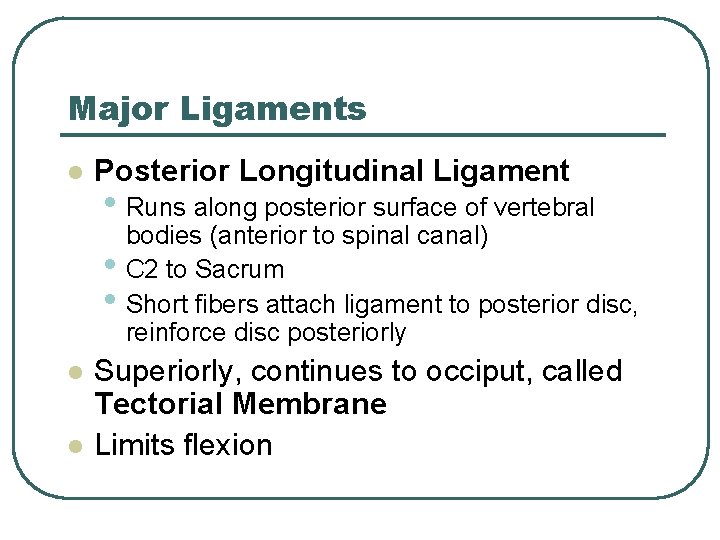 Major Ligaments l Posterior Longitudinal Ligament • Runs along posterior surface of vertebral •