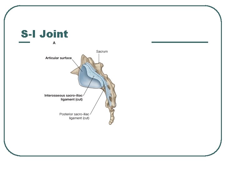 S-I Joint 