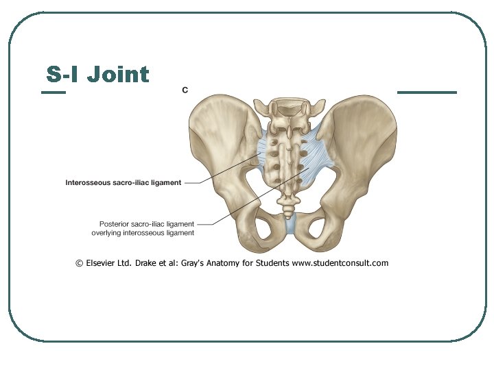 S-I Joint 