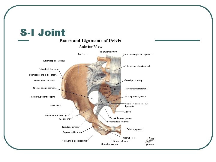S-I Joint 