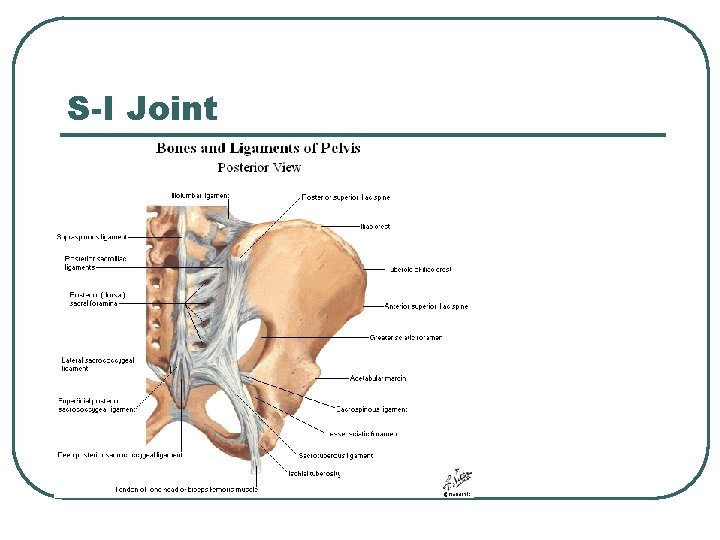S-I Joint 