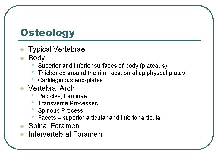 Osteology l l l Typical Vertebrae Body • • • Superior and inferior surfaces