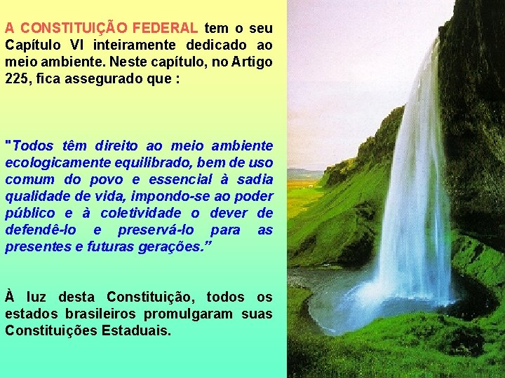 A CONSTITUIÇÃO FEDERAL tem o seu Capítulo VI inteiramente dedicado ao meio ambiente. Neste