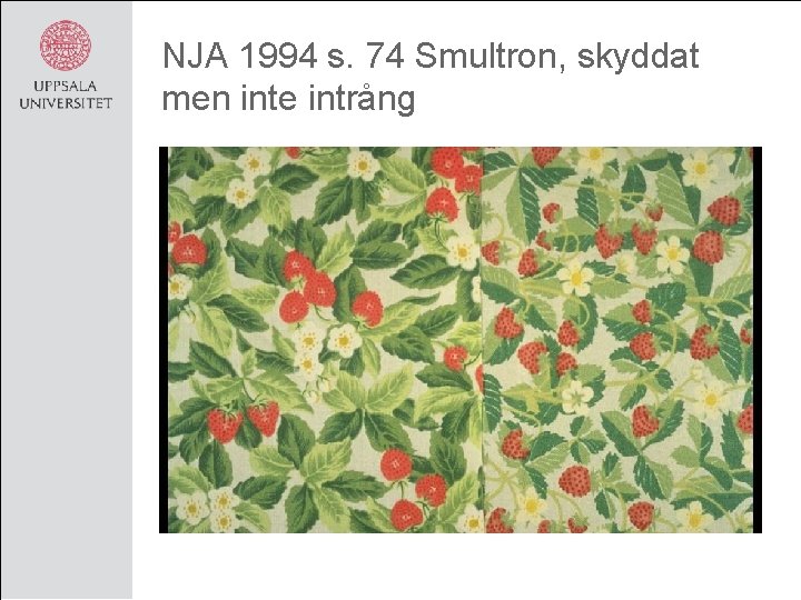 NJA 1994 s. 74 Smultron, skyddat men inte intrång 