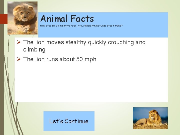 Animal Facts How does the animal move? (ex: hop, slither) What sounds does it
