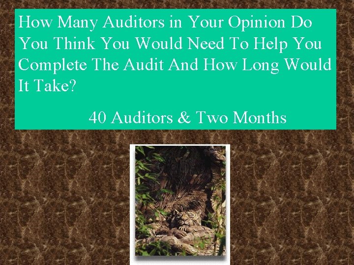 How Many Auditors in Your Opinion Do You Think You Would Need To Help