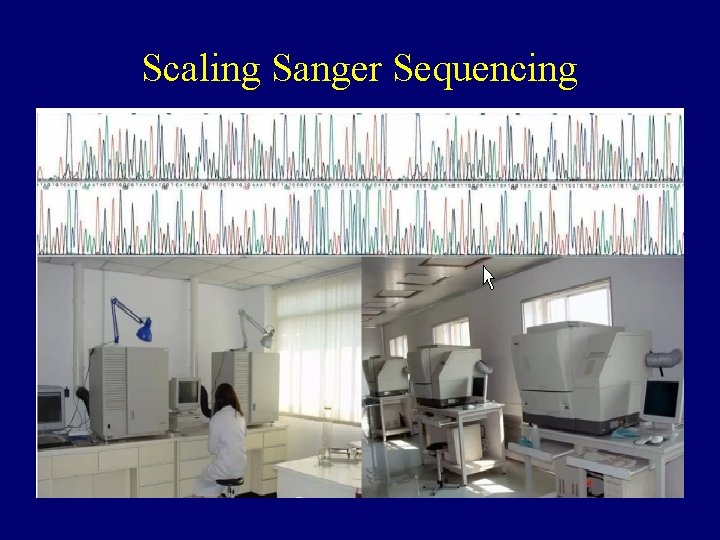 Scaling Sanger Sequencing 