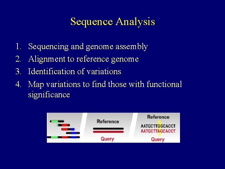 Sequence Analysis 1. 2. 3. 4. Sequencing and genome assembly Alignment to reference genome