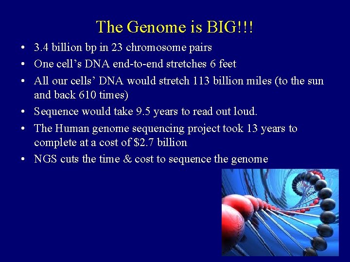The Genome is BIG!!! • 3. 4 billion bp in 23 chromosome pairs •