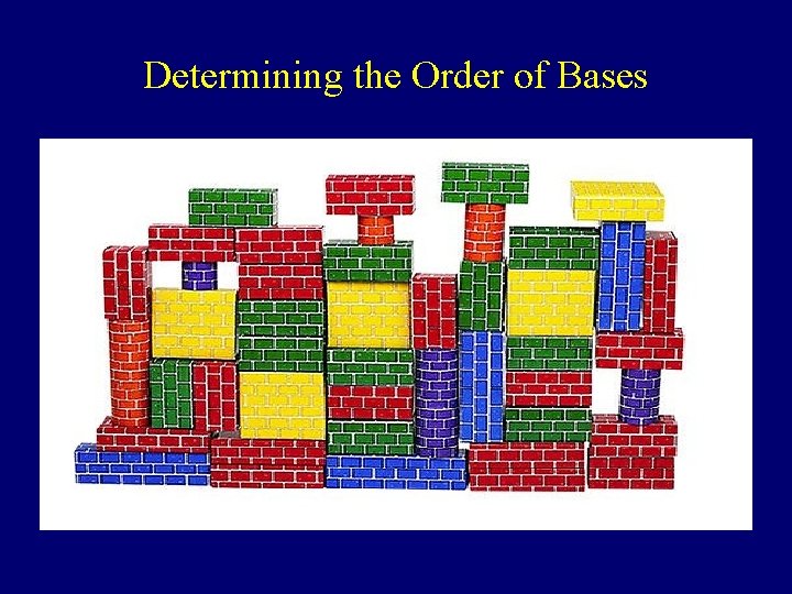 Determining the Order of Bases 