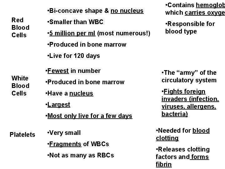  • Bi-concave shape & no nucleus Red Blood Cells • Smaller than WBC