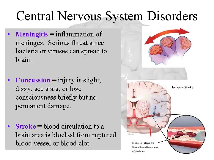 Central Nervous System Disorders • Meningitis = inflammation of meninges. Serious threat since bacteria