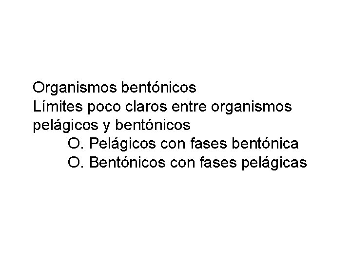 Organismos bentónicos Límites poco claros entre organismos pelágicos y bentónicos O. Pelágicos con fases