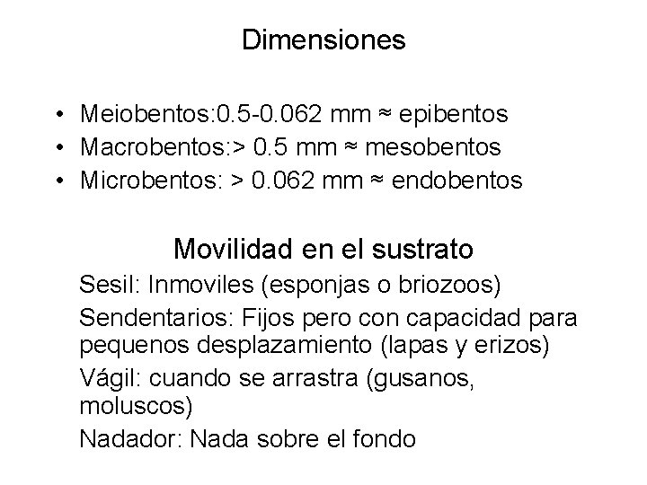 Dimensiones • Meiobentos: 0. 5 -0. 062 mm ≈ epibentos • Macrobentos: > 0.