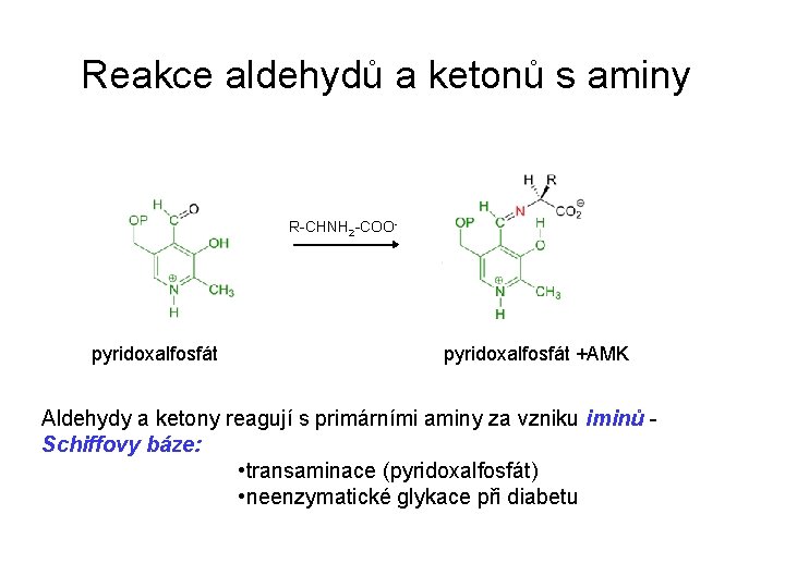 Reakce aldehydů a ketonů s aminy R-CHNH 2 -COO- pyridoxalfosfát +AMK Aldehydy a ketony