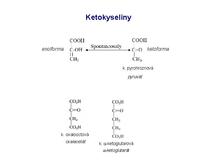 Ketokyseliny enolforma ketoforma k. pyrohroznová pyruvát k. oxalooctová oxalacetát k. a-ketoglutarová a-ketoglutarát Ketokyseliny enolforma ketoforma k. pyrohroznová pyruvát k. oxalooctová oxalacetát k. a-ketoglutarová a-ketoglutarát