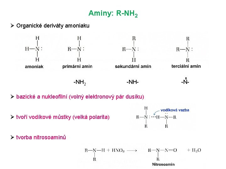 Aminy: R-NH 2 Ø Organické deriváty amoniaku -NH 2 -NH- Ø bazické a nukleofilní