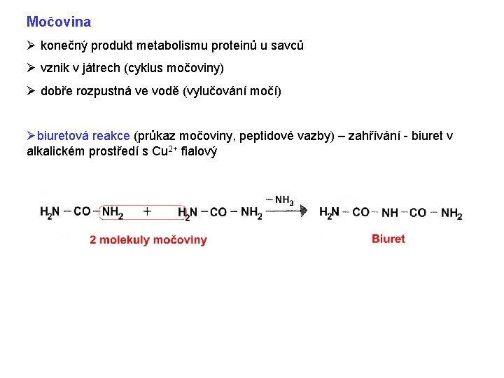 Močovina Ø konečný produkt metabolismu proteinů u savců Ø vznik v játrech (cyklus močoviny) Močovina Ø konečný produkt metabolismu proteinů u savců Ø vznik v játrech (cyklus močoviny)