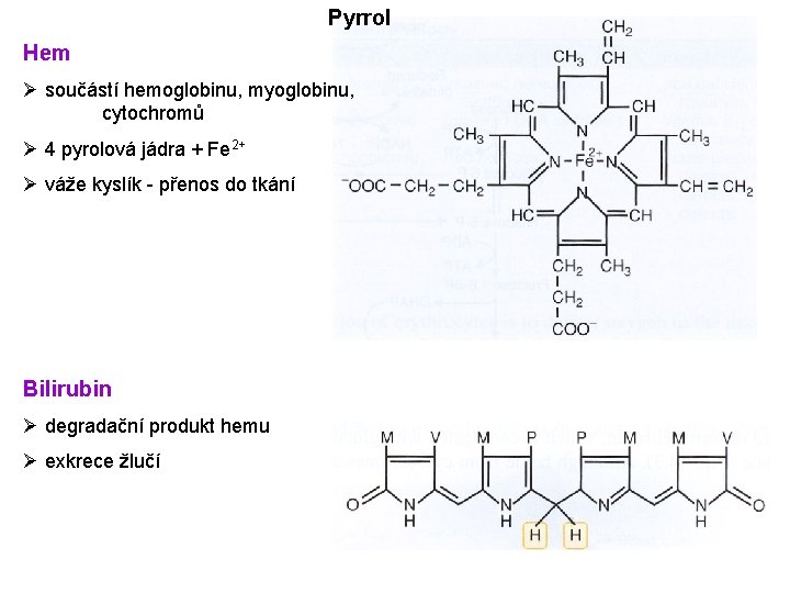 Pyrrol Hem Ø součástí hemoglobinu, myoglobinu, cytochromů Ø 4 pyrolová jádra + Fe 2+ Pyrrol Hem Ø součástí hemoglobinu, myoglobinu, cytochromů Ø 4 pyrolová jádra + Fe 2+