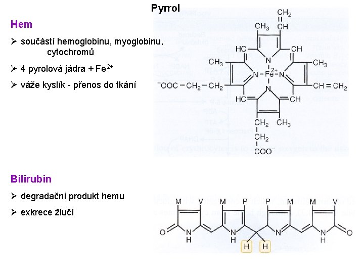 Pyrrol Hem Ø součástí hemoglobinu, myoglobinu, cytochromů Ø 4 pyrolová jádra + Fe 2+