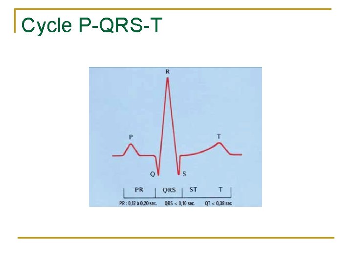 Cycle P-QRS-T 